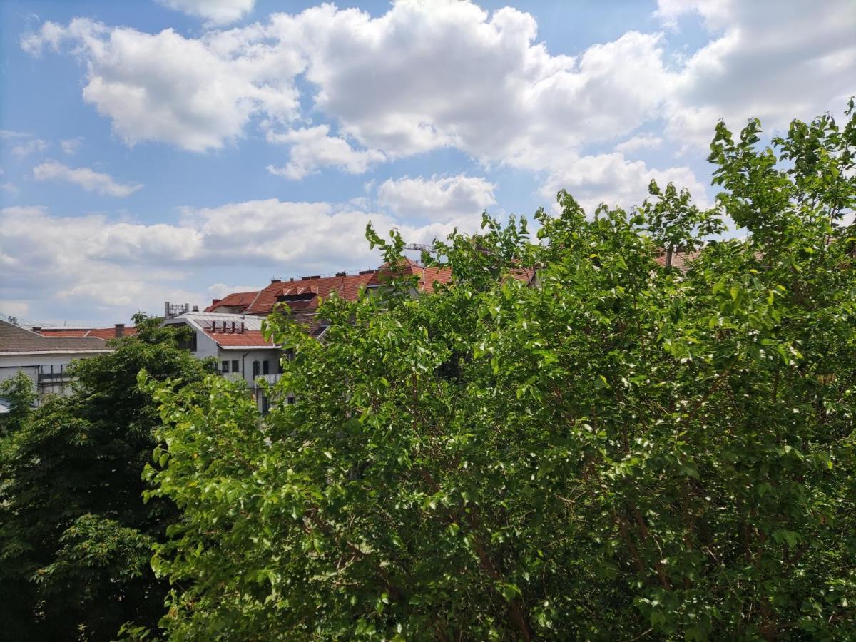 Park View, Close To River, Ac, Bauhaus Vibe, 2 Balconies Budapest Eksteriør billede